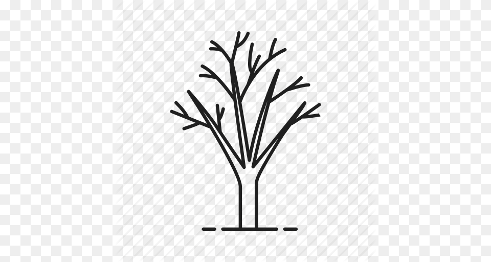 Autumn Forest Leafless Naked Park Tree Winter Icon, Plant, Potted Plant, Art, Festival Png