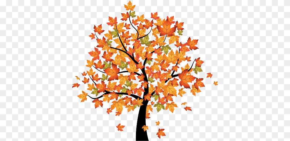 Autumn Fall Tree Clipart Leaf, Maple, Plant Free Png Download