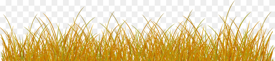 Autumn Grass Clipart Transparent Svg Black And White Transparent Yellow Grass Free Png Download