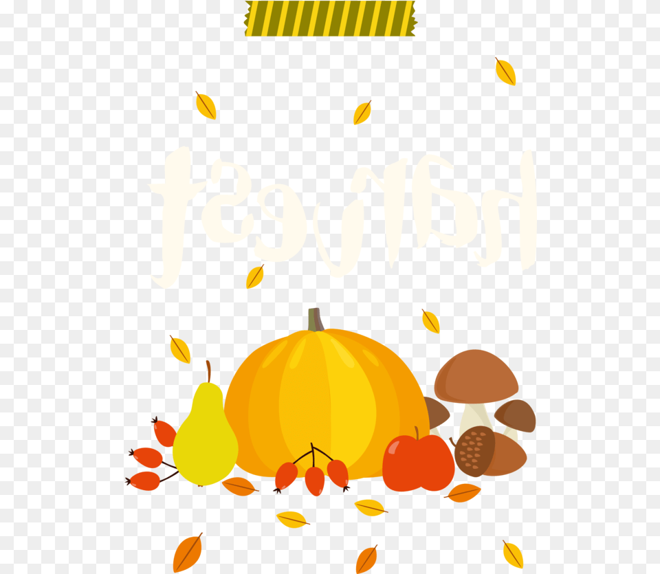 Autumn Harvest Festival Food Pumpkin, Fungus, Plant, Fruit, Pear Free Png Download