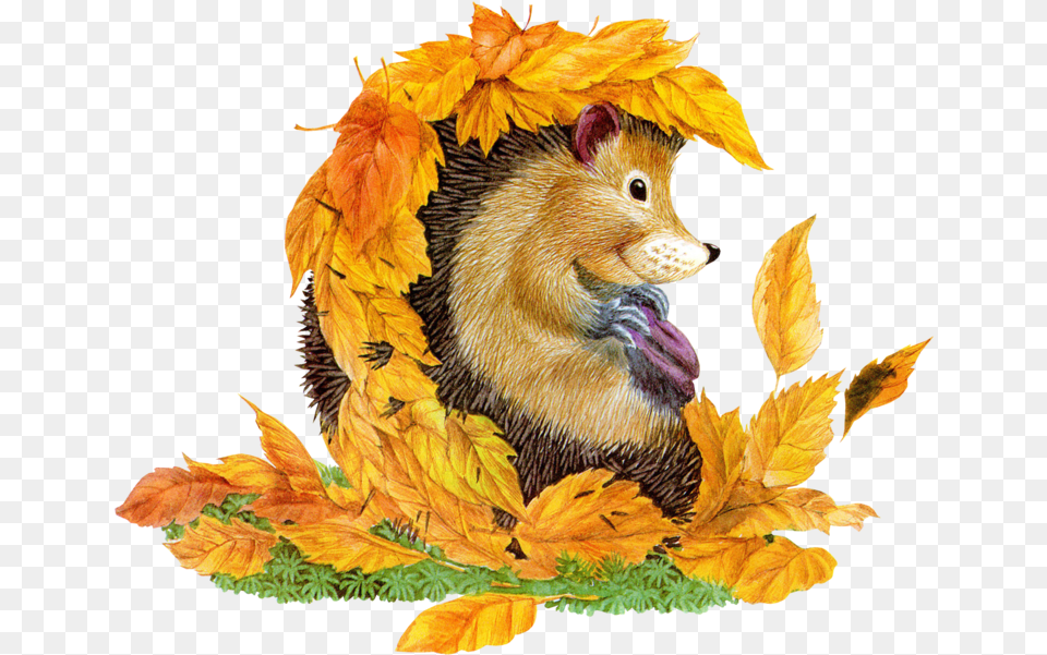 Autumn Hedgehog Psd Official Psds Cartoon Animals, Leaf, Plant, Tree, Animal Free Transparent Png