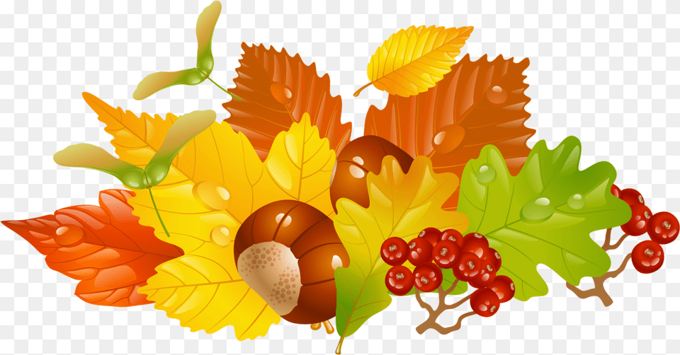 Autumn Images Resources With Chestnuts Clipart, Food, Leaf, Nut, Plant Free Png Download