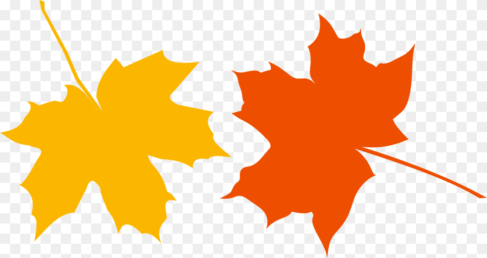 Autumn Ladies And Gentlemen Icons, Leaf, Maple Leaf, Plant, Tree Free Transparent Png