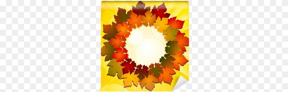 Autumn Leaf Border Wall Mural U2022 Pixers We Live To Change Cartoon Autumn Leaves, Plant, Tree, Maple Leaf Free Png Download