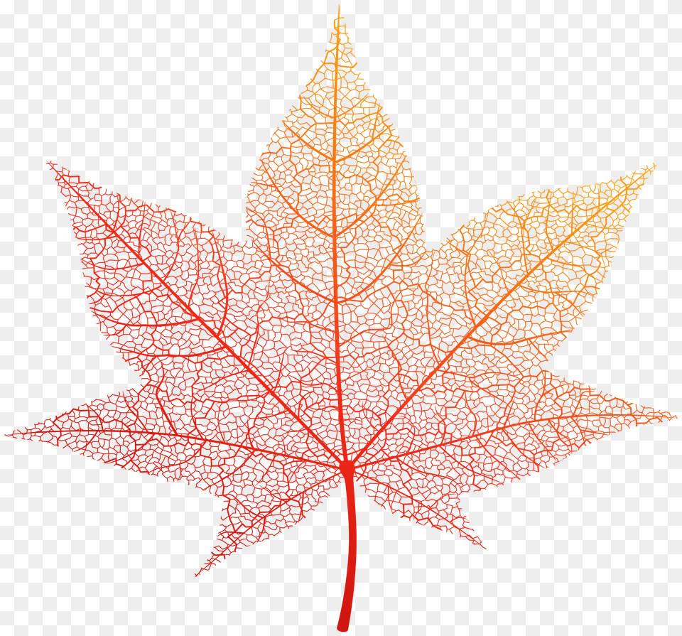 Autumn Leaf Clip Art Image Maple Leaf, Logo Free Png Download