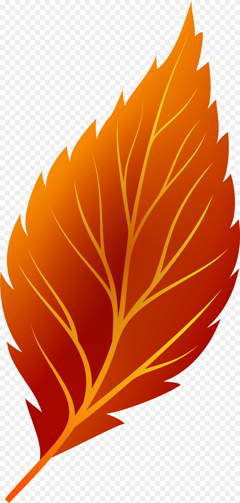 Autumn Leaf Clipart, Plant, Tree, Maple Leaf, Person Free Png