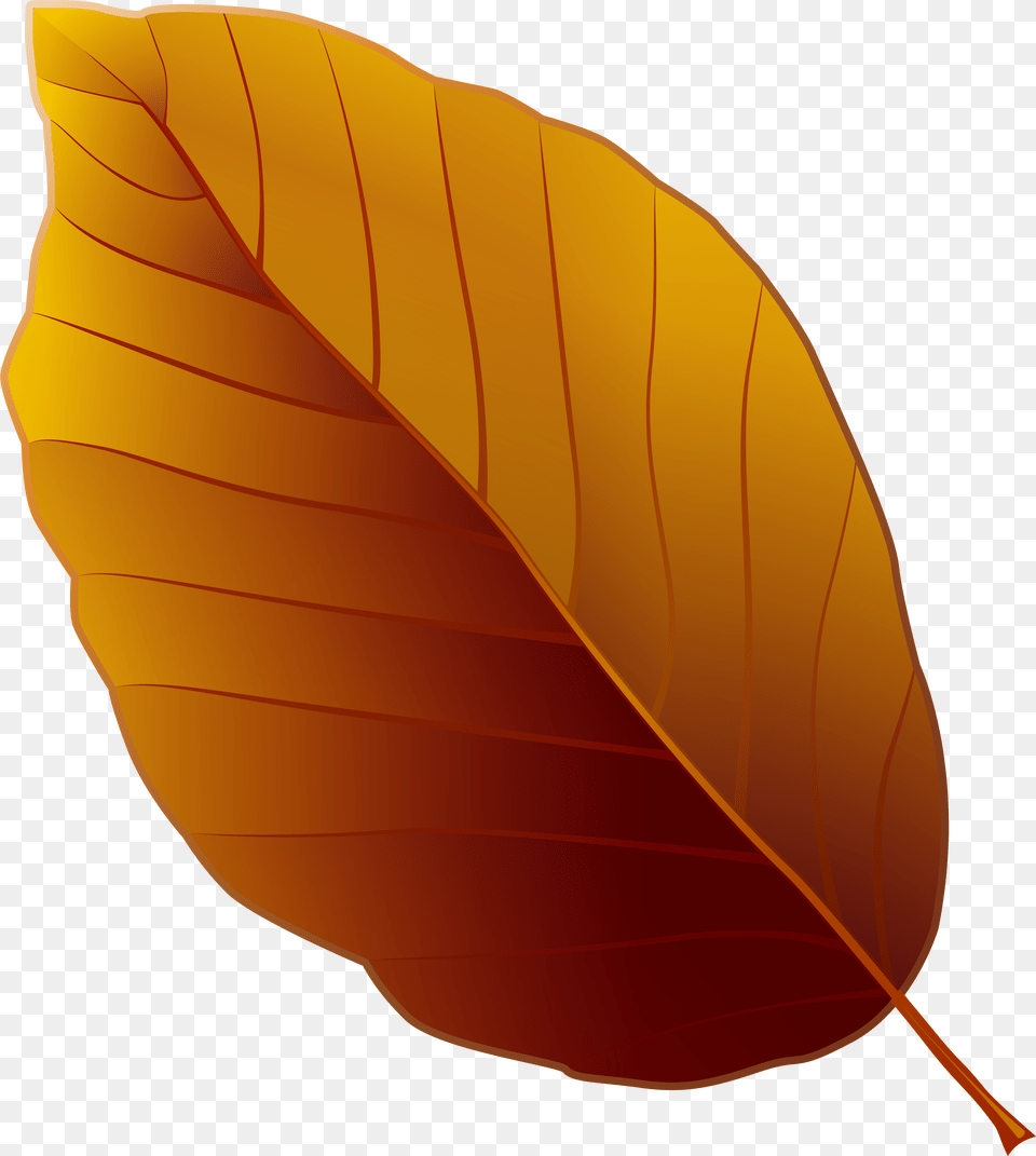 Autumn Leaf Clipart Image High Brown Leaf Clip Art Brown Leaf Clipart, Plant, Clothing, Hardhat, Helmet Free Png
