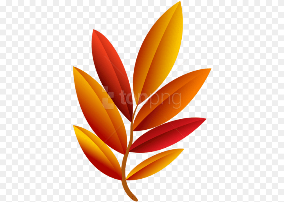 Autumn Leaf Clipart Photo Portable Network Graphics, Plant, Tree, Flower, Herbal Png