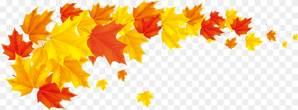 Autumn Leaf Color Banner Clip Art Transparent Fall Leaves Border, Maple, Plant, Tree, Maple Leaf Free Png Download