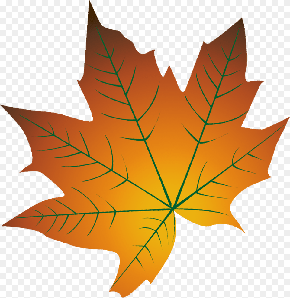 Autumn Leaf Color Cartoon Autumn Leaf Color Autumn Leaf Cartoon, Maple Leaf, Plant, Tree Free Png Download
