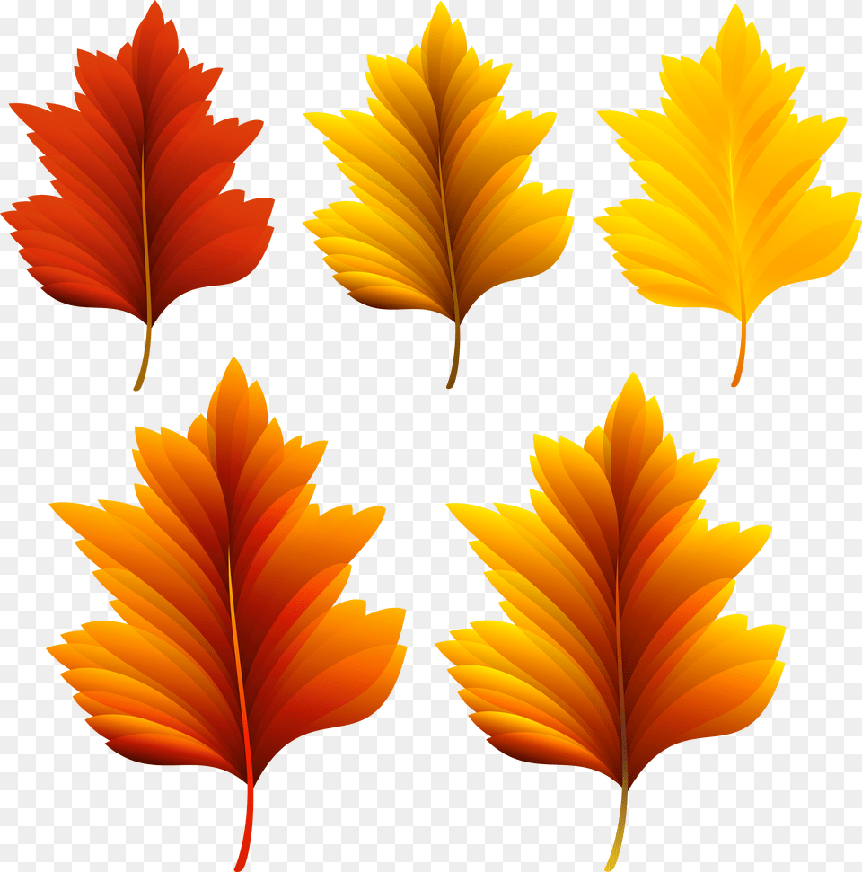Autumn Leaf Color Clip Art, Plant, Tree, Chandelier, Lamp Png Image