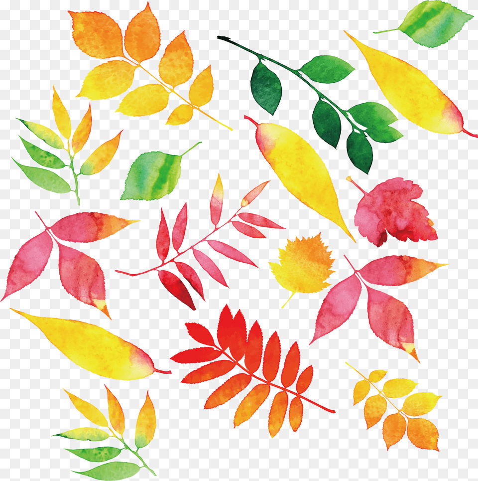 Autumn Leaf Color Dekoracje Jesienne Sali Przedszkolnej, Art, Floral Design, Graphics, Pattern Png Image