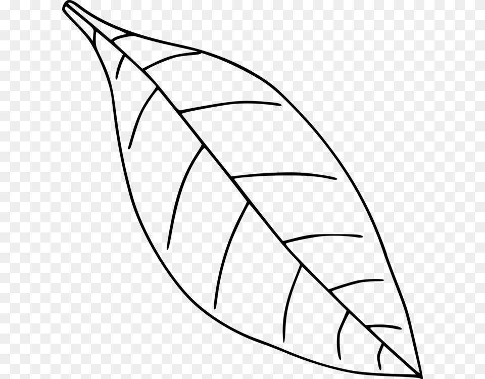 Autumn Leaf Color Drawing Black And White, Gray Free Transparent Png