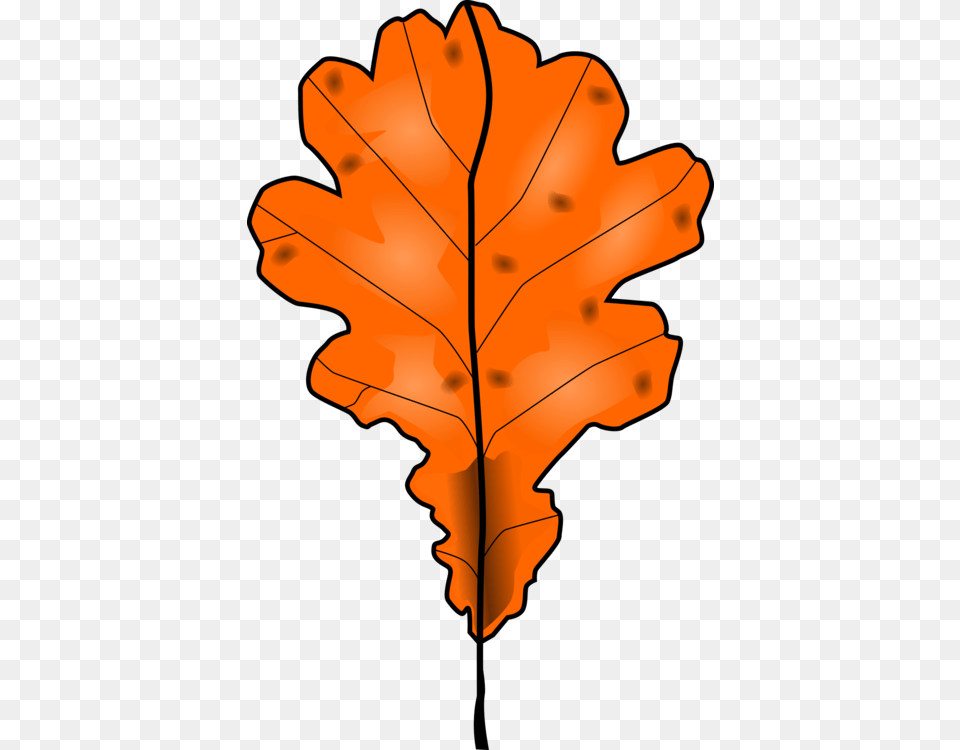 Autumn Leaf Color Maple Leaf Orange Green, Plant, Tree, Maple Leaf, Dynamite Free Png