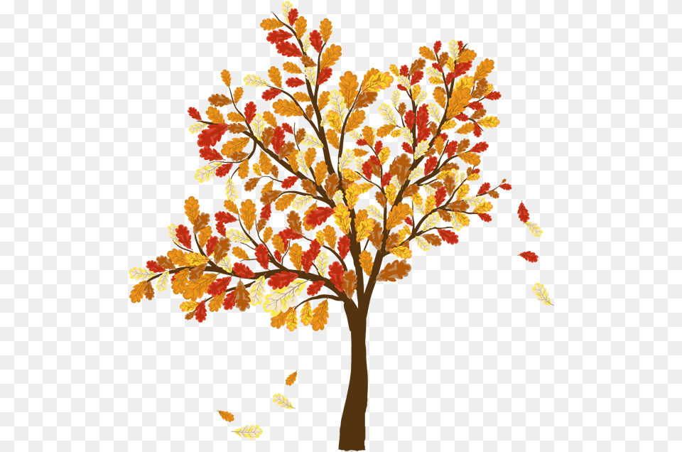 Autumn Leaf Color Tree Clip Art Tree Falling Leaves, Plant, Oak, Sycamore, Maple Free Png Download