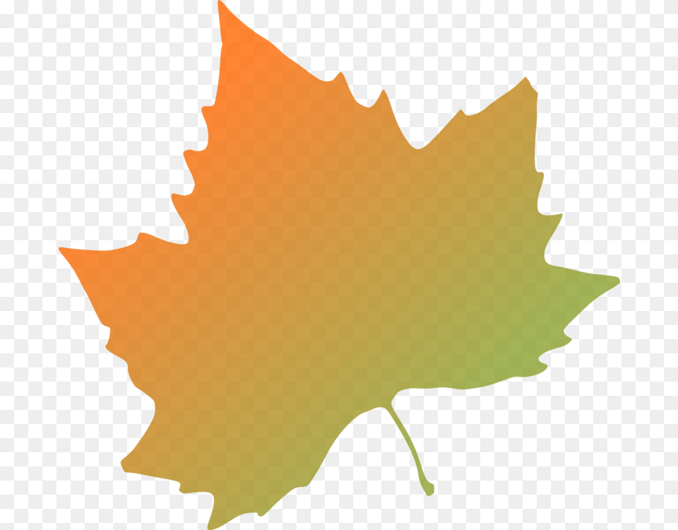 Autumn Leaf Color Tree Orange, Maple Leaf, Plant, Person, Face Png