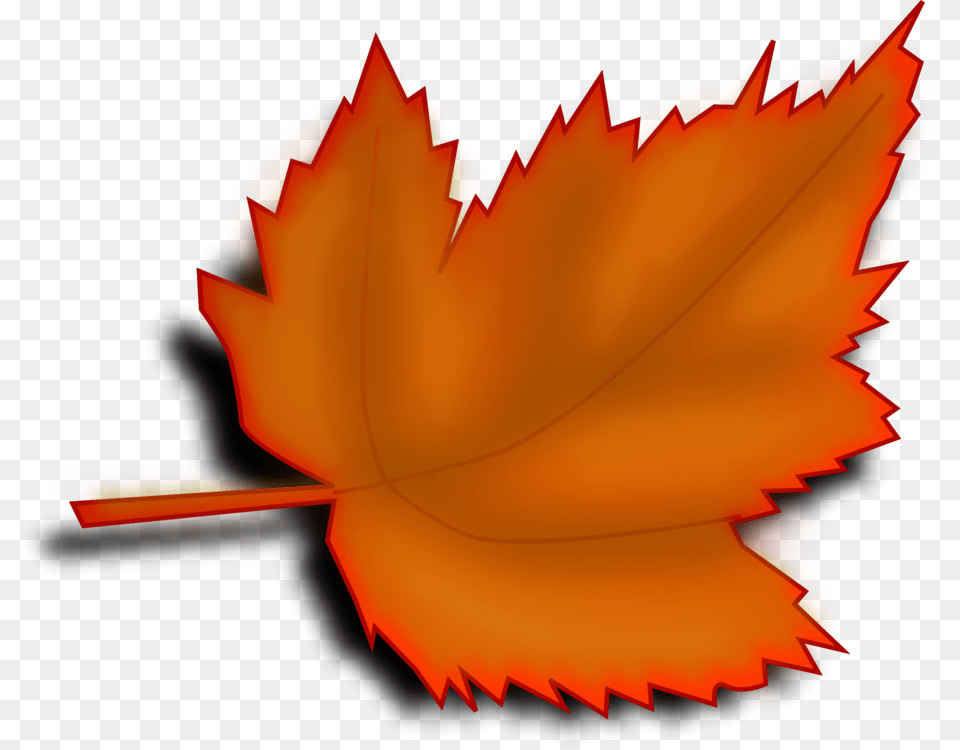 Autumn Leaf Computer Icons Plant, Tree, Maple Leaf Free Png Download