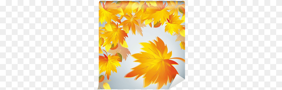Autumn Leaf Fall Background With Yellow Leaf Osennij Listopad Foto, Plant, Art, Graphics, Tree Png Image