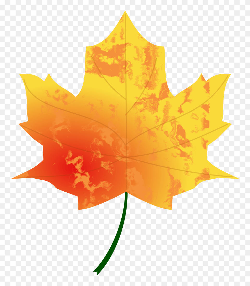 Autumn Leaf Icons, Maple Leaf, Plant, Tree, Person Png