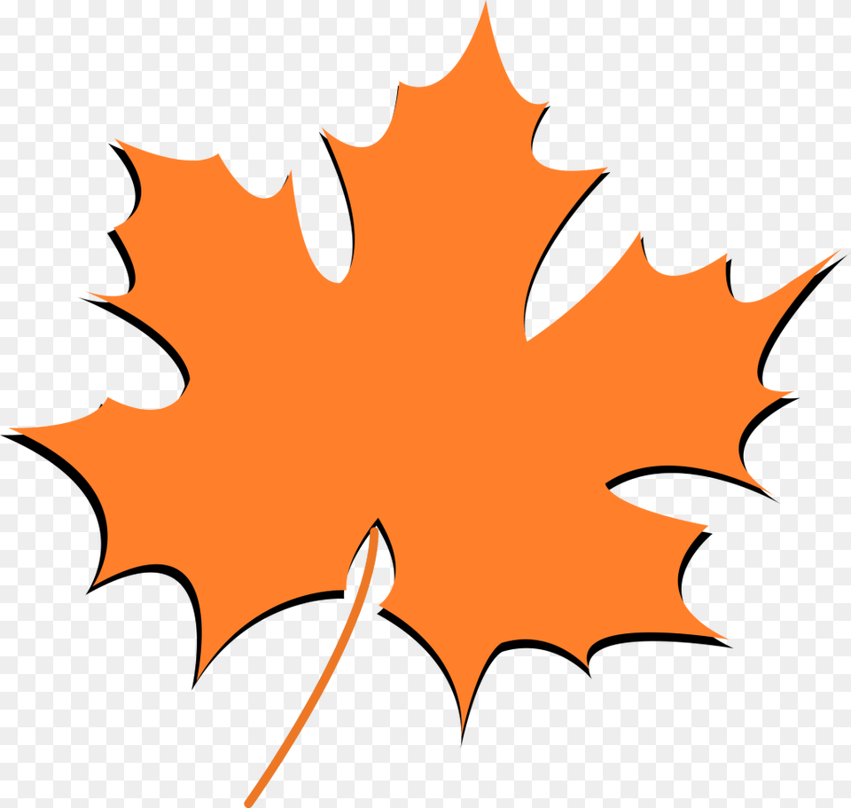 Autumn Leaf Image Illustration, Maple Leaf, Plant, Tree Free Png