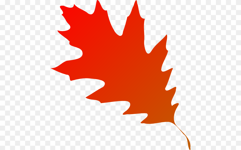Autumn Leaf Red Orange Clip Art, Maple Leaf, Plant, Tree, Animal Free Png Download