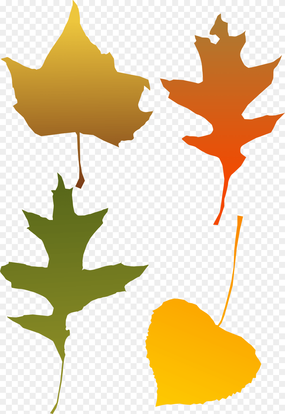 Autumn Leaf Selection Icons, Plant, Maple Leaf, Tree, Person Png Image