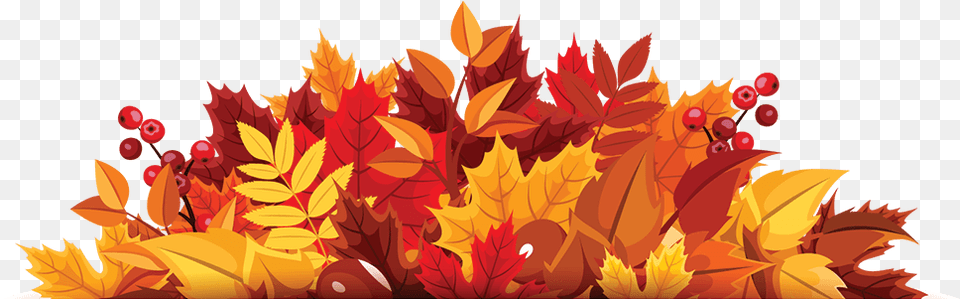Autumn Leaf Vector, Plant, Tree, Maple, Art Png