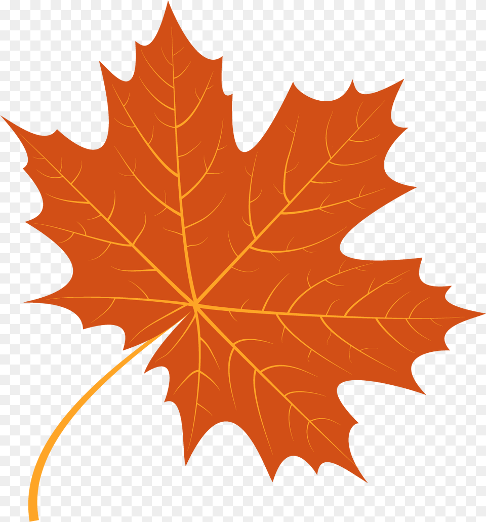 Autumn Leaf Vector, Plant, Tree, Maple Leaf, Maple Png