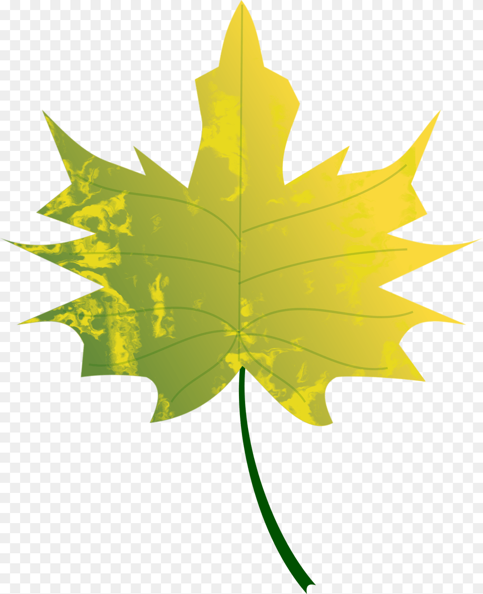 Autumn Leafs Clip Art Green Fall Leaves Clip Art, Leaf, Maple Leaf, Plant, Tree Png Image