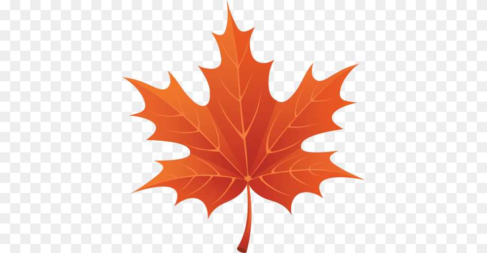 Autumn Leaves, Leaf, Plant, Tree, Maple Leaf Png