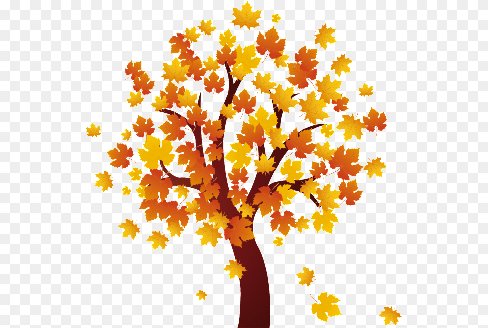 Autumn Leaves, Leaf, Maple, Plant, Tree Free Png