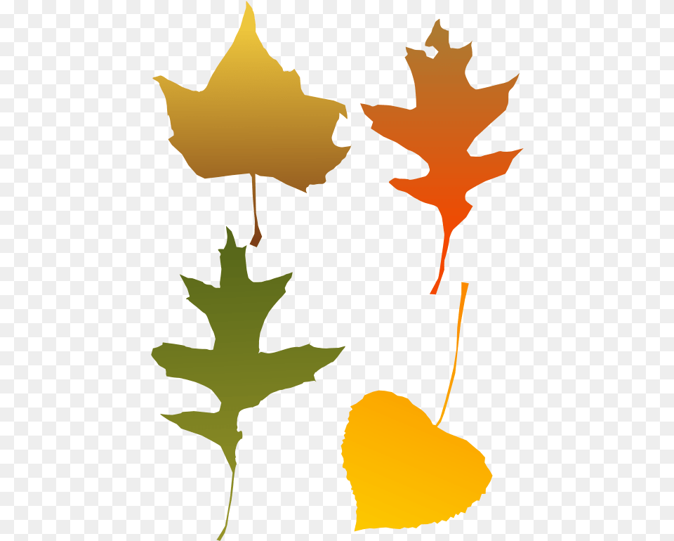 Autumn Leaves Autumn Leaf Clip Art, Plant, Maple Leaf, Person, Tree Png Image
