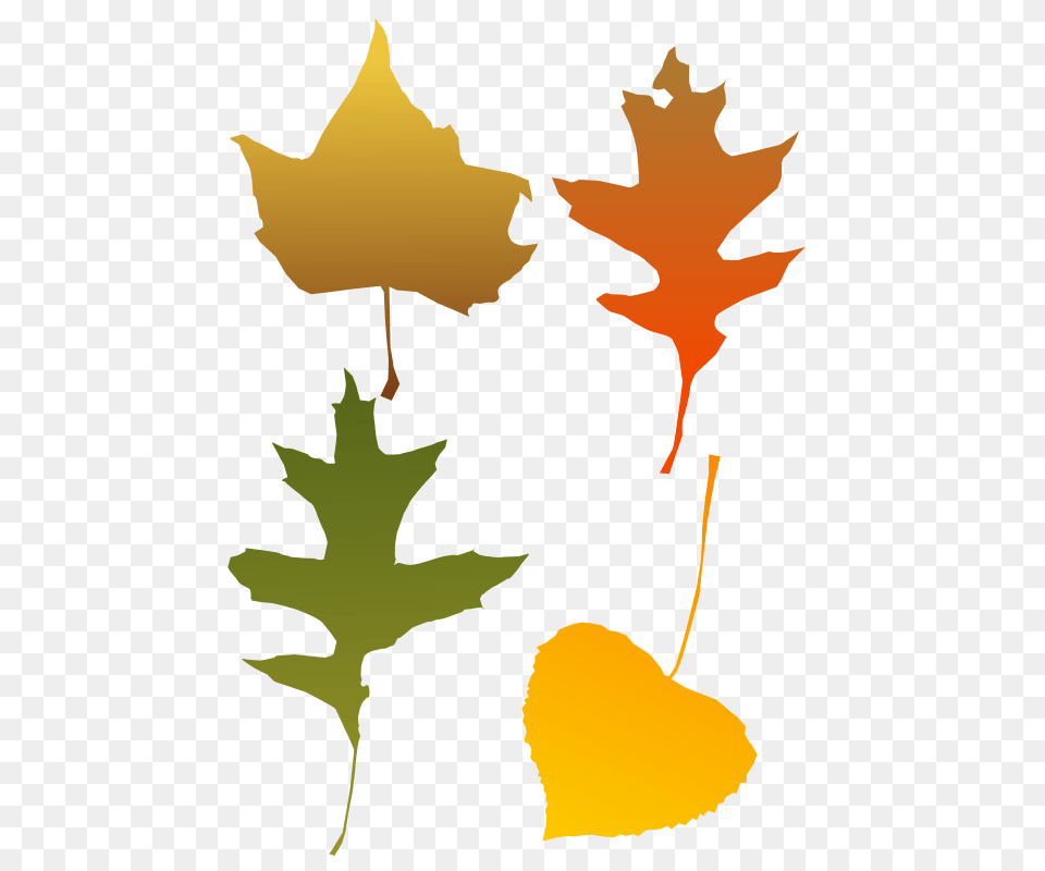 Autumn Leaves Autumn Leaf Clip Art Image With Autumn Leaf Clip Art, Plant, Maple Leaf, Tree, Person Free Png
