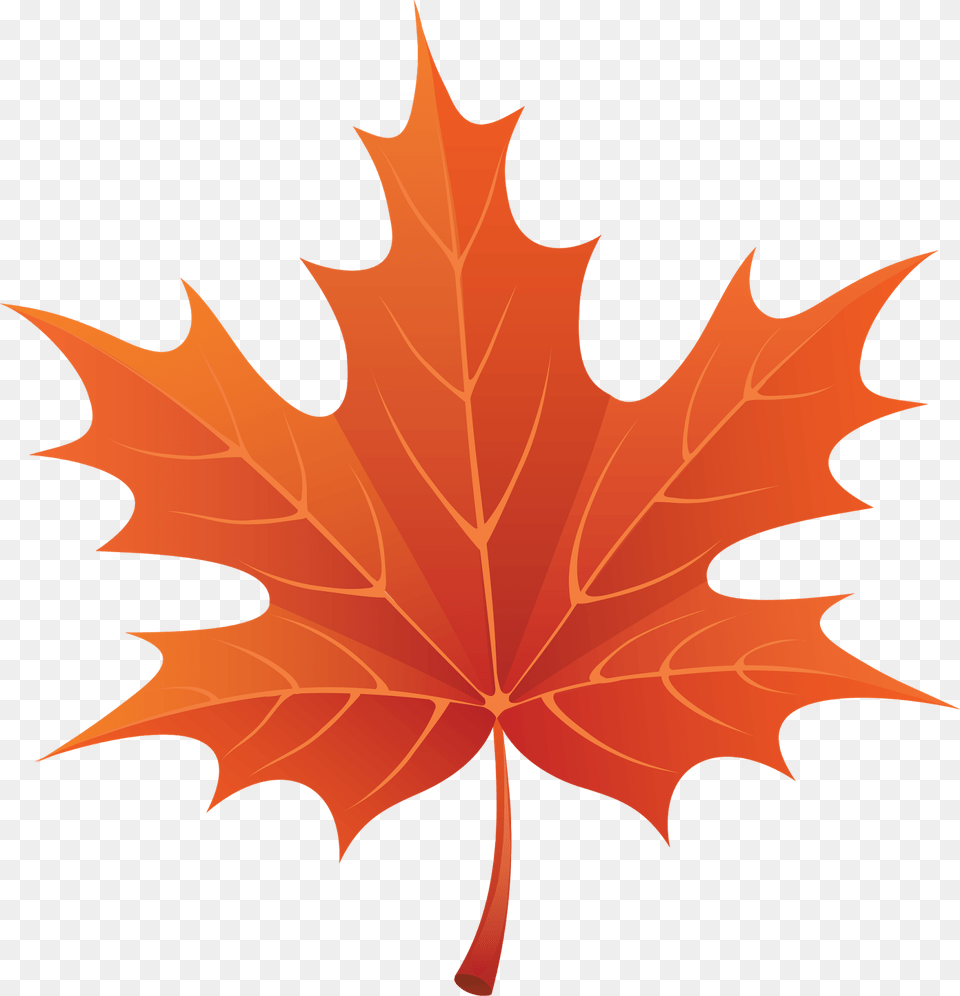 Autumn Leaves Autumn Leaves Clipart, Leaf, Plant, Tree, Maple Leaf Free Png