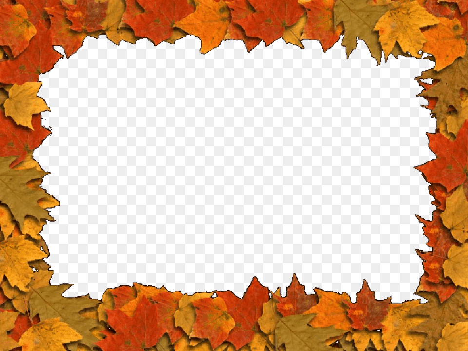 Autumn Leaves Border, Leaf, Plant, Tree, Maple Free Png