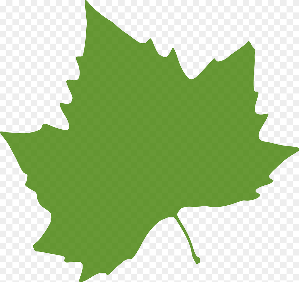 Autumn Leaves Clip Art, Leaf, Plant, Maple Leaf, Person Free Png Download
