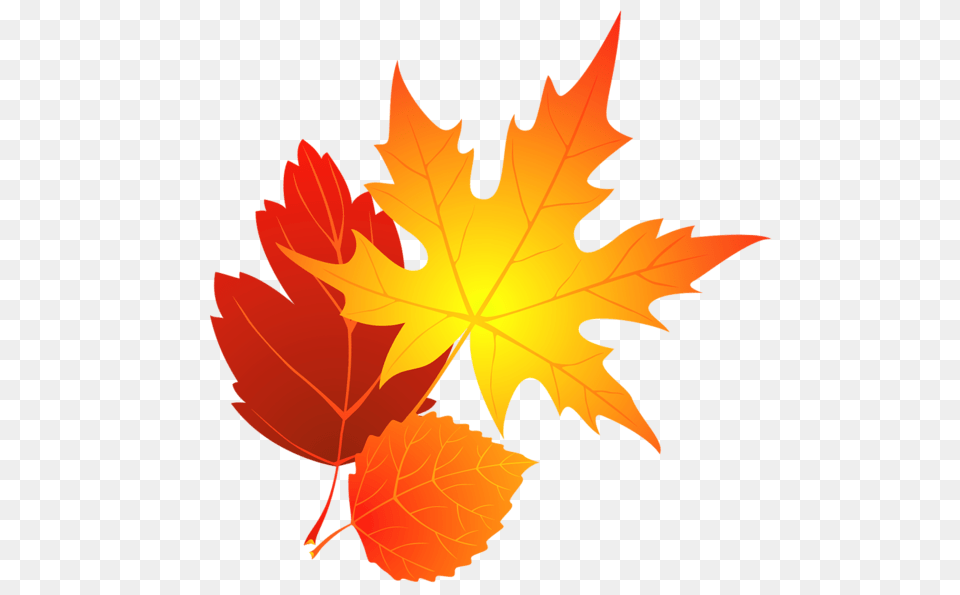 Autumn Leaves Clip Art Transparent Background Fall Leaf Clipart, Plant, Tree, Maple Leaf, Maple Free Png Download