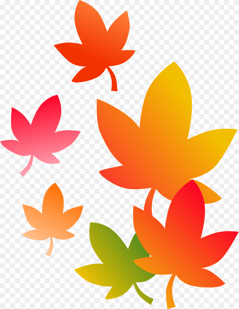 Autumn Leaves Clipart, Graphics, Art, Floral Design, Plant Free Transparent Png