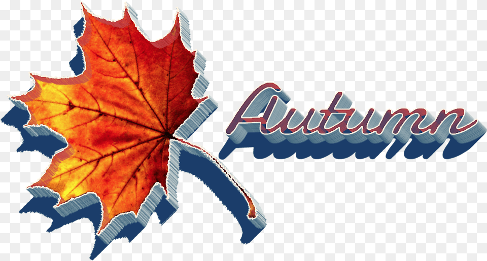 Autumn Leaves Clipart Autumn, Leaf, Plant, Tree, Maple Leaf Free Png Download