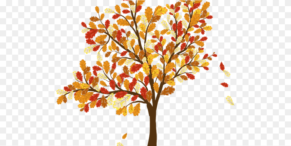 Autumn Leaves Clipart Coloured Leave Tree With Leaves Falling Drawing, Leaf, Plant, Maple, Oak Free Png Download