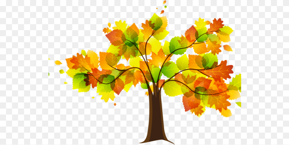Autumn Leaves Clipart Early Fall Tree Fall Leaves Clipart, Leaf, Plant, Maple, Oak Free Png
