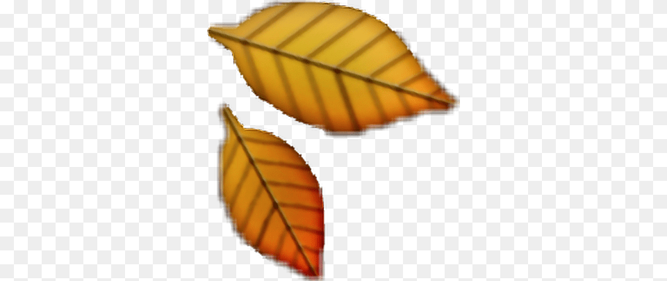 Autumn Leaves Clipart Emoji Emoji Feuille, Leaf, Plant Png Image