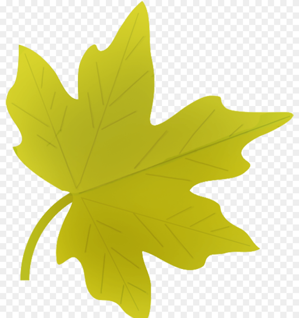Autumn Leaves Clipart Fall Clip Green Fall Leaf Clipart, Maple Leaf, Plant, Tree, Animal Free Png