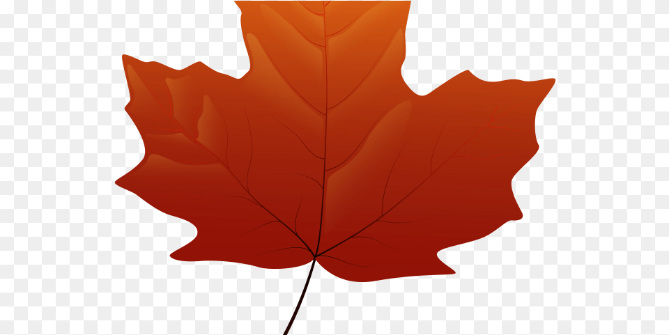 Autumn Leaves Clipart Clip Art Falling Leaf, Maple Leaf, Plant, Tree Free Transparent Png