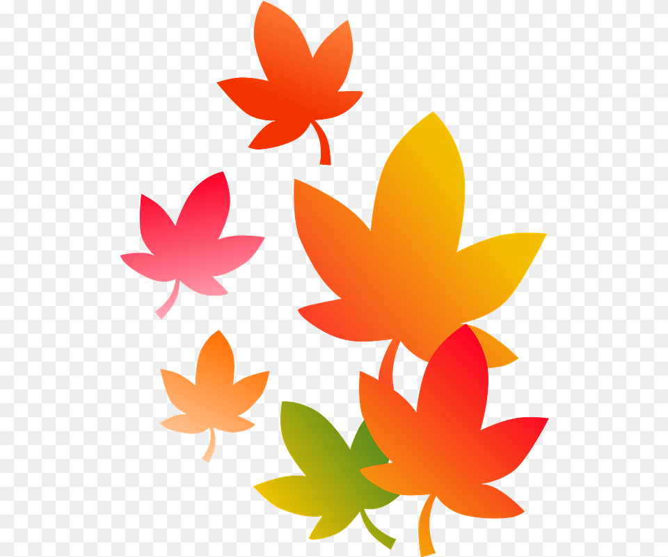Autumn Leaves Clipart Download Transparent Floral, Art, Floral Design, Graphics, Leaf Free Png