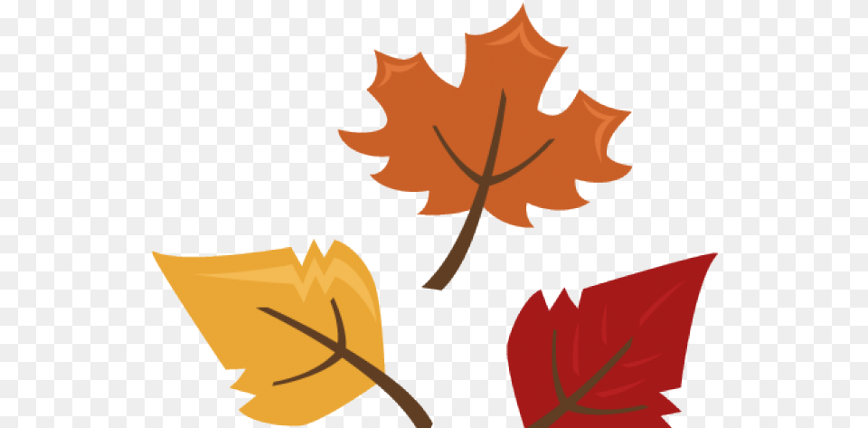 Autumn Leaves Clipart Leaf Fall Leaves Cute, Maple Leaf, Plant, Tree, Person Png Image