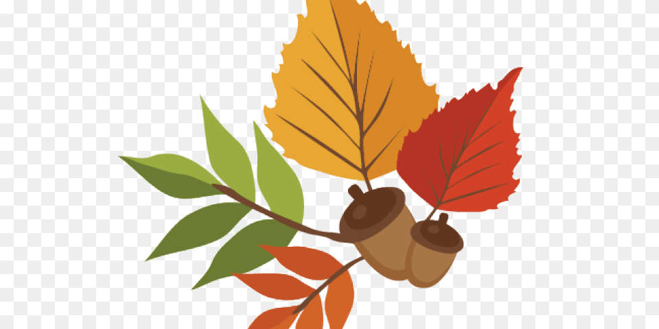 Autumn Leaves Clipart Leaves, Vegetable, Food, Leaf, Nut Free Png Download