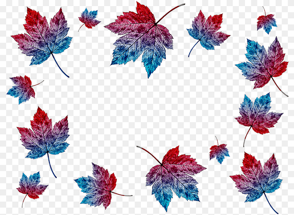 Autumn Leaves Collage Transparent Background Nature Maple Leaf, Plant, Tree, Maple Leaf Png Image