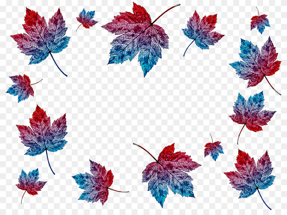 Autumn Leaves Collage Collage De Hojas De, Leaf, Plant, Tree, Maple Leaf Free Transparent Png