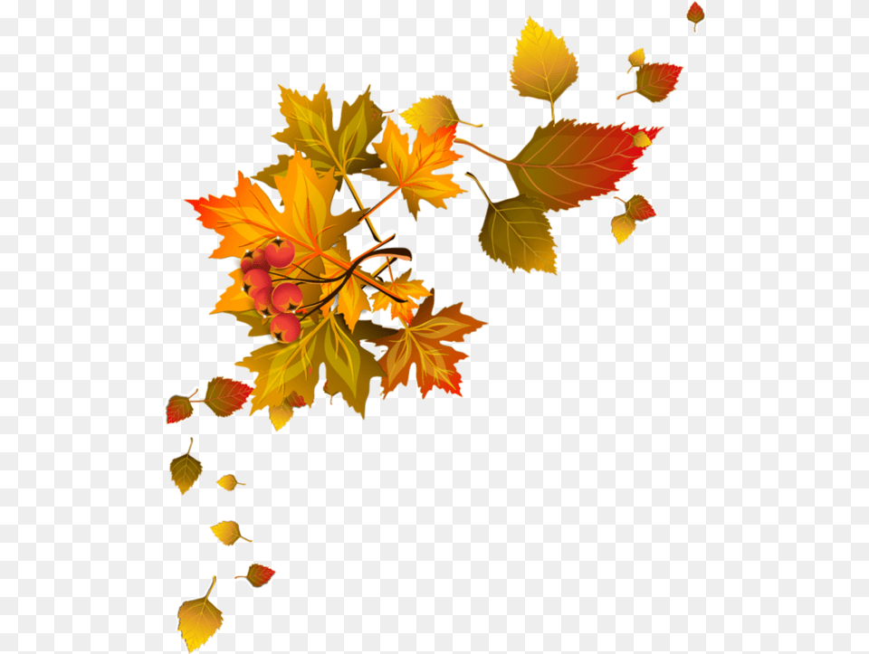 Autumn Leaves Corner Clipart, Leaf, Plant, Tree, Maple Png